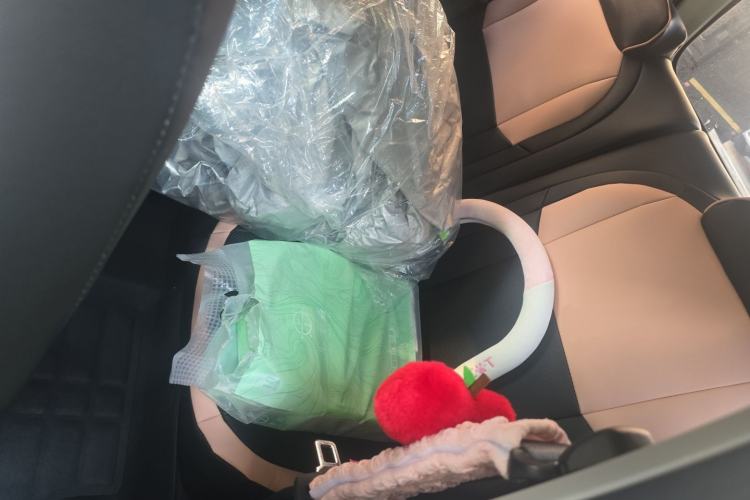 Used Geely Galaxy Panda 2025 210 km – Yuanqi Bear Left Rear Seat