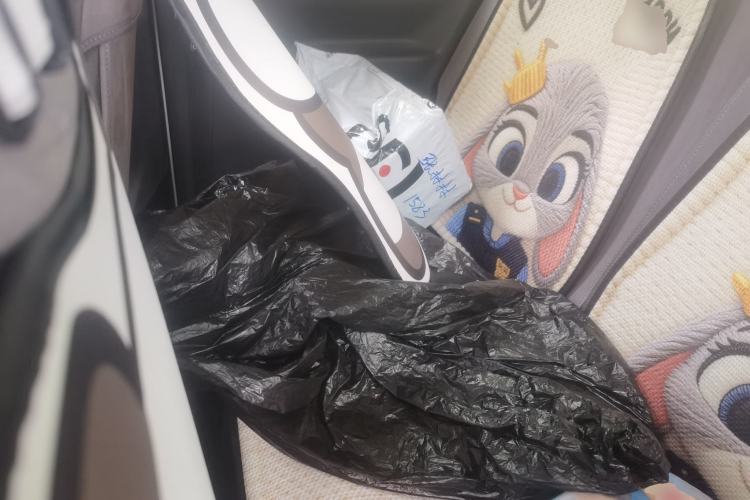 Used Geely Galaxy Panda 2025 210km Panda Kart Left Rear Seat