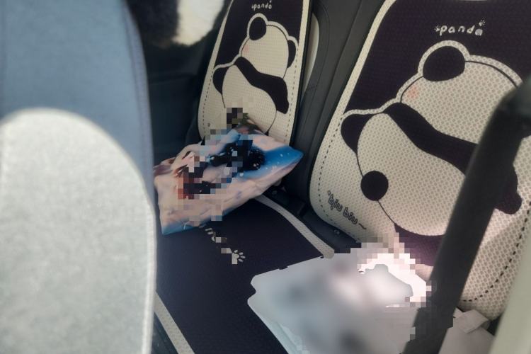 Used Geely Galaxy Panda 2025 210km Panda Rider Left Rear Seat