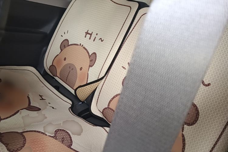 Used Geely Galaxy Panda 2025 210 km – Yuanqi Bear Left Rear Seat