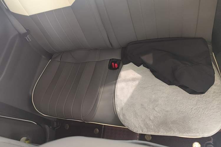 Used Geely Galaxy Panda 2025 210 km – Yuanqi Bear Left Rear Seat