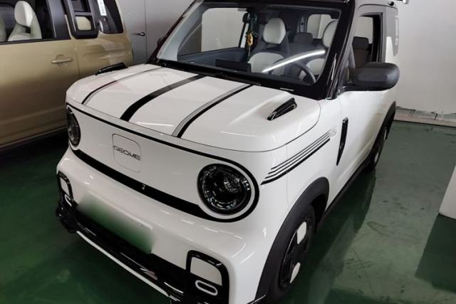Used Geely Galaxy Panda 2025 210km Panda Kart