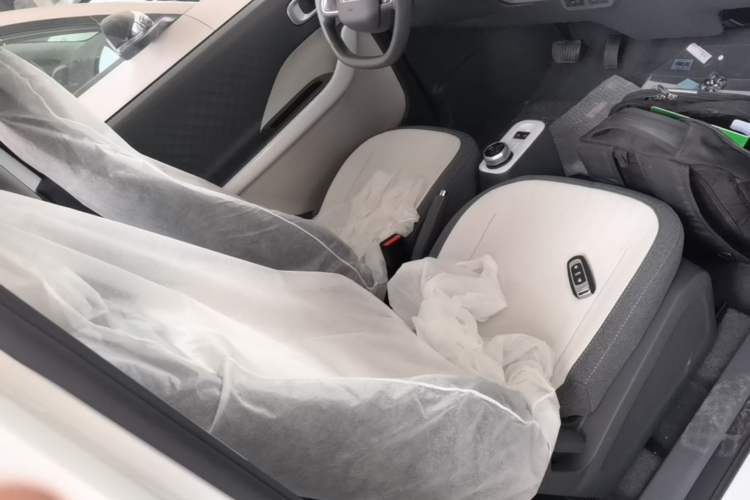 Used Geely Galaxy Panda 2025 210 km – Yuanqi Bear Right Front Seat