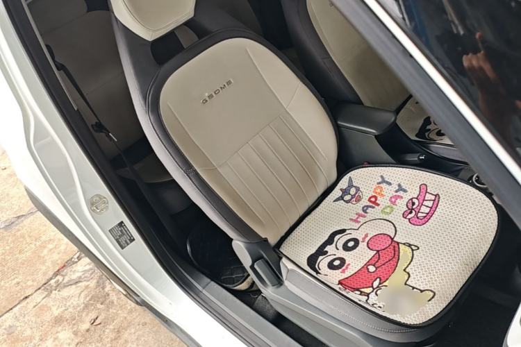 Used Geely Galaxy Panda 2025 210km Panda Kart Right Front Seat