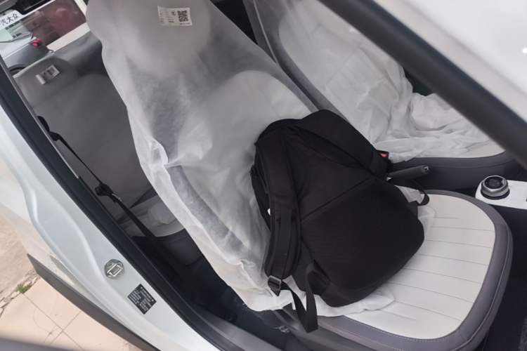 Used Geely Galaxy Panda 2025 210km Panda Rider Right Front Seat