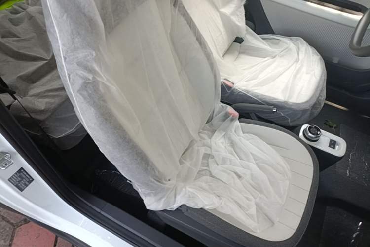 Used Geely Galaxy Panda 2025 210km Panda Kart Right Front Seat