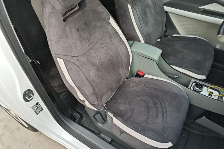 Used Geely Galaxy Panda 2025 210 km – Yuanqi Bear Right Front Seat