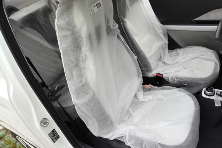 Used Geely Galaxy Panda 2025 210 km – Yuanqi Bear Right Front Seat