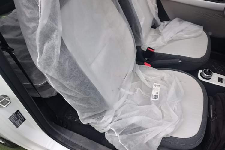 Used Geely Galaxy Panda 2025 210 km – Yuanqi Bear Right Front Seat