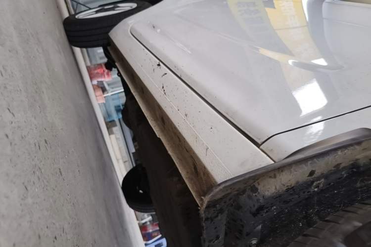 Used Geely Galaxy Panda 2025 210 km – Yuanqi Bear Right Side Sill