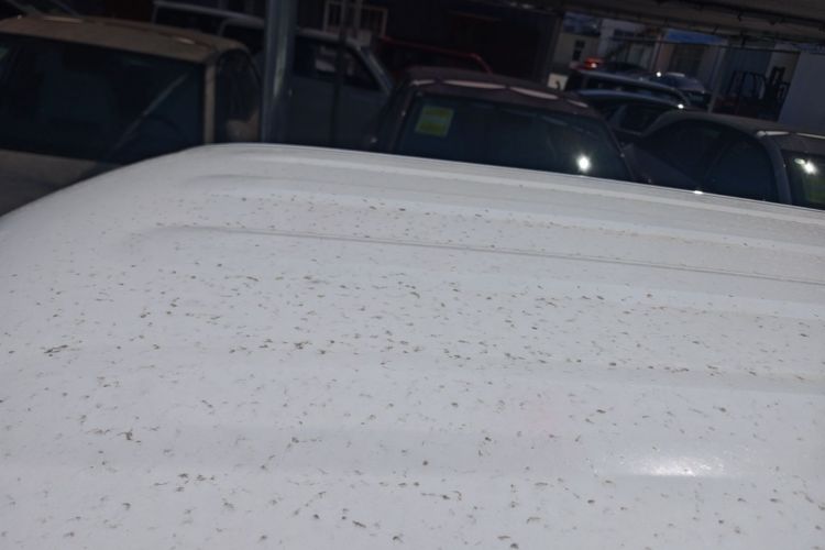 Used Geely Galaxy Panda 2025 210 km – Yuanqi Bear Roof