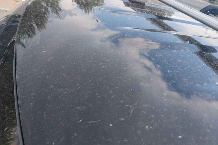 Used Geely Galaxy Panda 2025 210km Panda Kart Roof