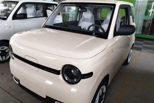 Used Geely Galaxy Panda 2025 210 km – Yuanqi Bear