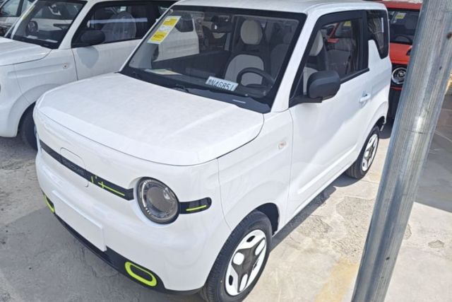 Used Geely Galaxy Panda 2025 210 km – Yuanqi Bear