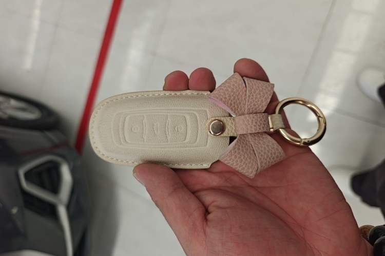 Used Geely Galaxy Panda 2025 210km Panda Kart Vehicle Key