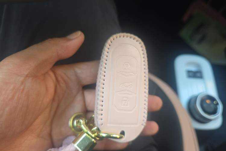 Used Geely Galaxy Panda 2025 210 km – Yuanqi Bear Vehicle Key