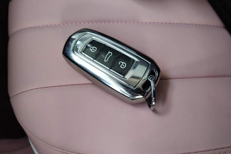 Used Geely Galaxy Panda 2025 210km Panda Kart Vehicle Key