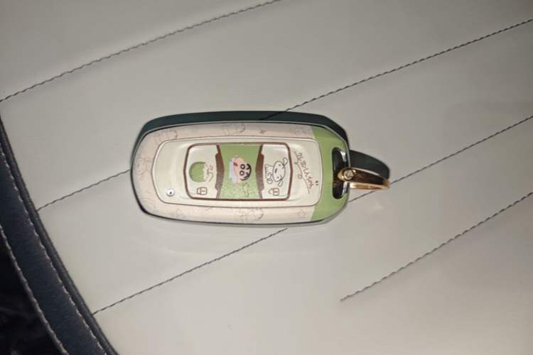 Used Geely Galaxy Panda 2025 210km Panda Kart Vehicle Key