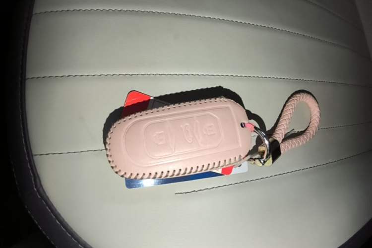 Used Geely Galaxy Panda 2025 210km Panda Kart Vehicle Key