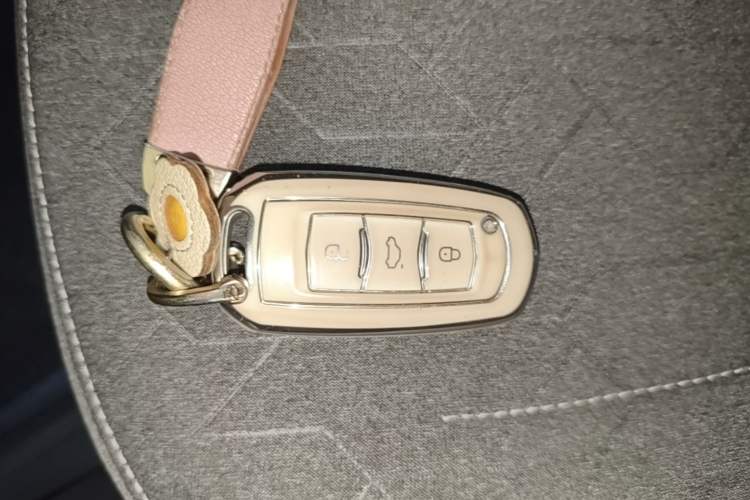 Used Geely Galaxy Panda 2025 210 km – Yuanqi Bear Vehicle Key