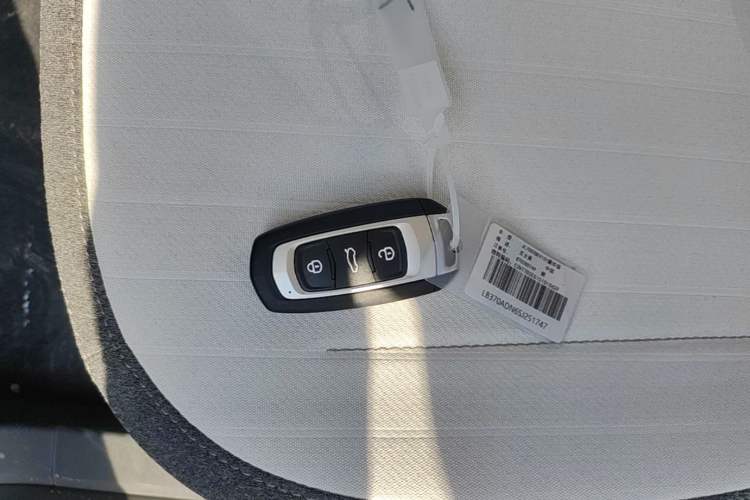 Used Geely Galaxy Panda 2025 210 km – Yuanqi Bear Vehicle Key