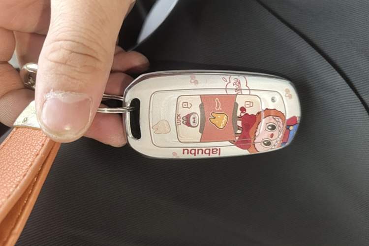 Used Geely Galaxy Panda 2025 210km Panda Kart Vehicle Key