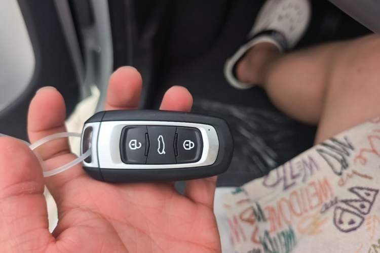 Used Geely Galaxy Panda 2025 210 km – Yuanqi Bear Vehicle Key