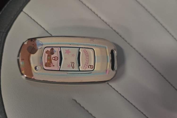 Used Geely Galaxy Panda 2025 210km Panda Rider Vehicle Key