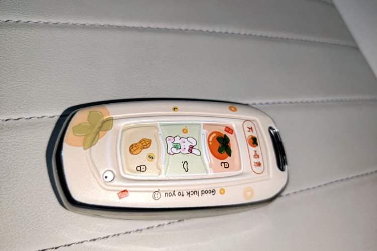 Used Geely Galaxy Panda 2025 210km Panda Kart Vehicle Key