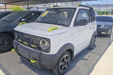 Used Geely Galaxy Panda 2025 210km Panda Rider