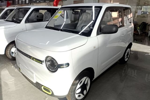 Used Geely Galaxy Panda 2025 210 km – Yuanqi Bear