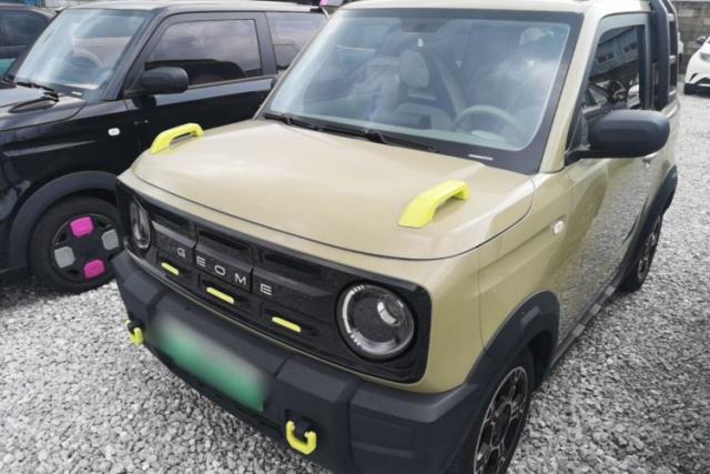 Used Geely Galaxy Panda 2025 210km Panda Rider