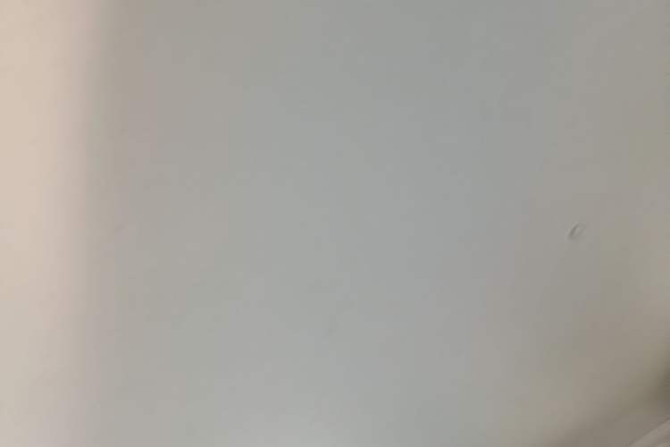 Used Geely Galaxy Panda 2025 210km Panda Rider Headliner