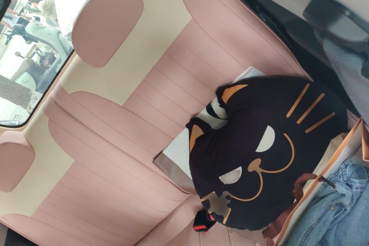 Used Geely Galaxy Panda 2025 210 km – Yuanqi Bear Left Rear Seat