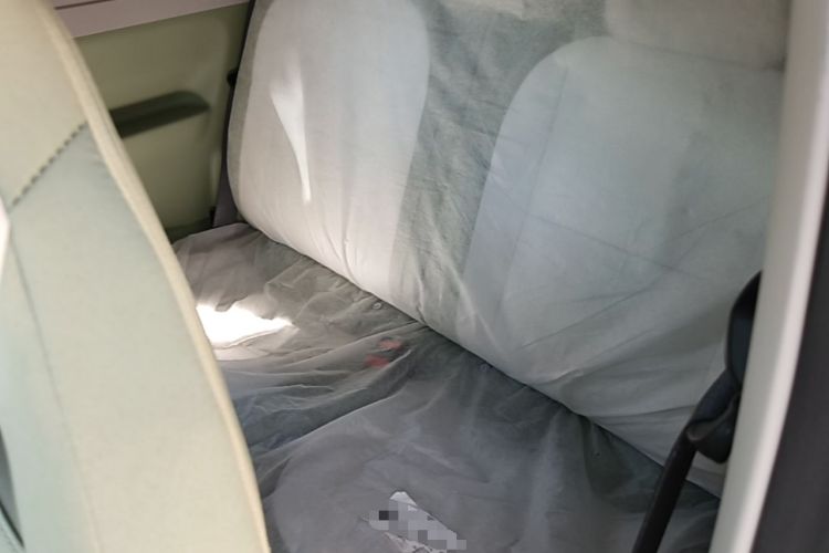 Used Geely Galaxy Panda 2025 210km Panda Rider Left Rear Seat