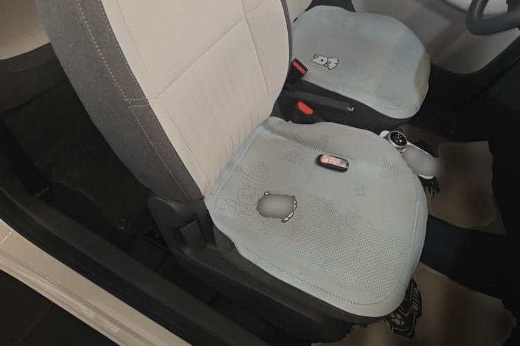 Used Geely Galaxy Panda 2025 210 km – Yuanqi Bear Right Front Seat