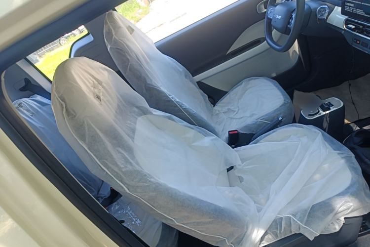 Used Geely Galaxy Panda 2025 210 km – Yuanqi Bear Right Front Seat