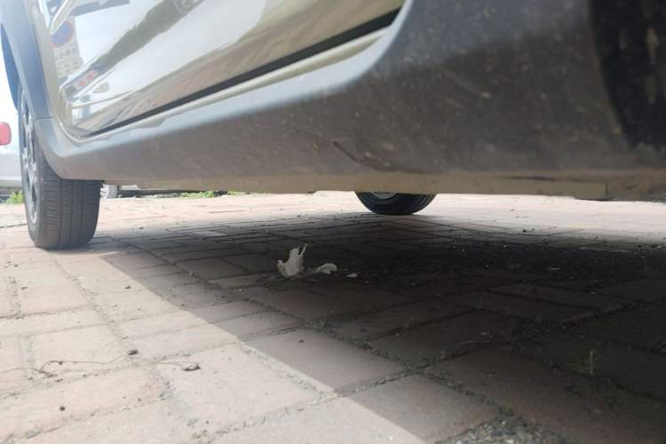 Used Geely Galaxy Panda 2025 210km Panda Rider Right Side Sill