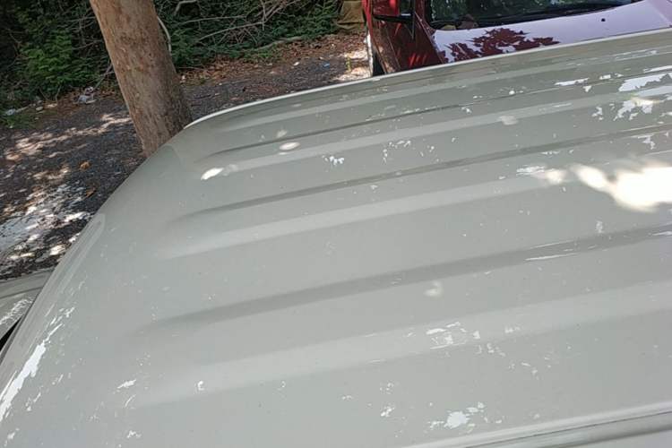 Used Geely Galaxy Panda 2025 210 km – Yuanqi Bear Roof