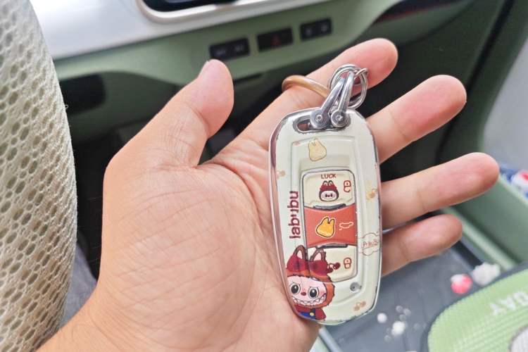 Used Geely Galaxy Panda 2025 210km Panda Rider Vehicle Key