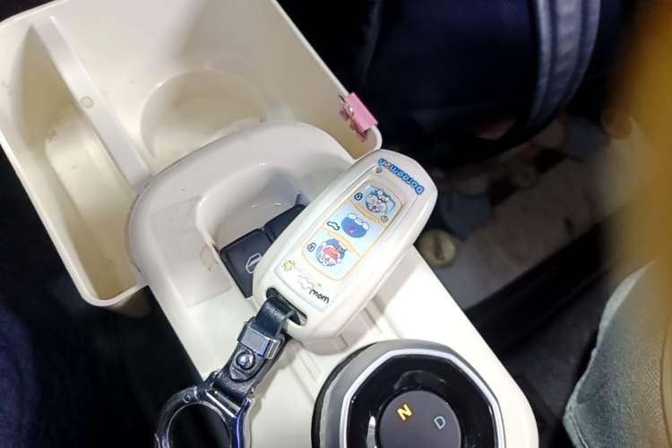 Used Geely Galaxy Panda 2025 210km Panda Rider Vehicle Key