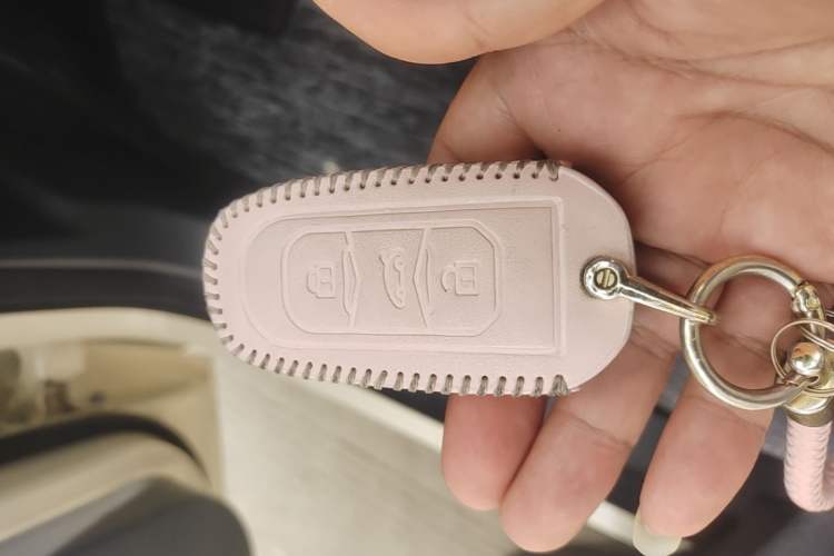 Used Geely Galaxy Panda 2025 210 km – Yuanqi Bear Vehicle Key