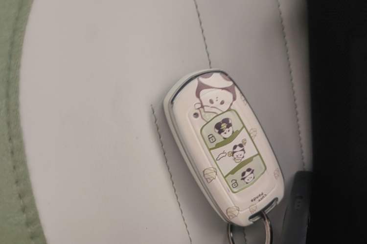 Used Geely Galaxy Panda 2025 210km Panda Rider Vehicle Key
