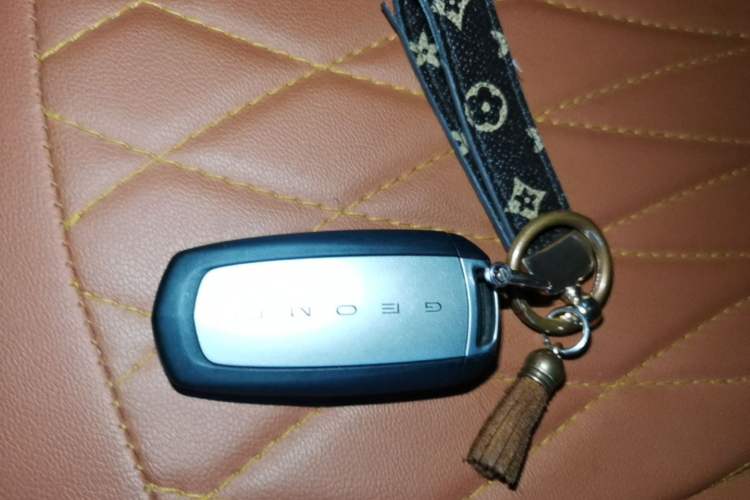 Used Geely Galaxy Panda 2025 210km Panda Rider Vehicle Key