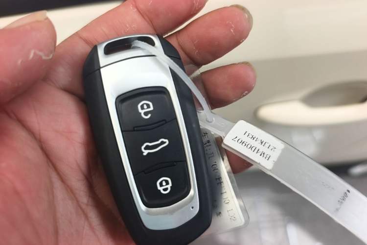 Used Geely Galaxy Panda 2025 210 km – Yuanqi Bear Vehicle Key