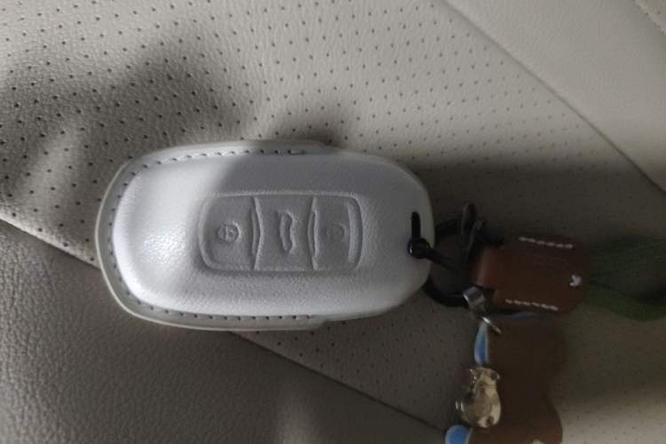 Used Geely Galaxy Panda 2025 210 km – Yuanqi Bear Vehicle Key