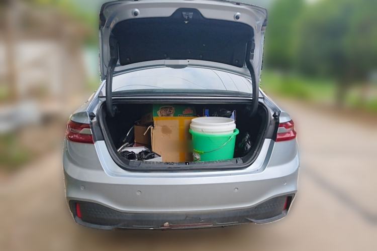 Used Geometry A 2019 High-Performance Standard Range Power Edition Trunk