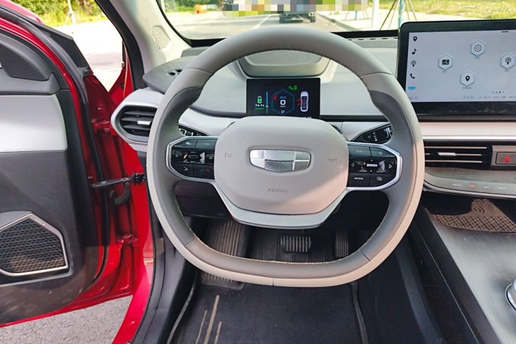 Used Geometry A 2019 High-Performance Standard Range Power Edition Steering Wheel