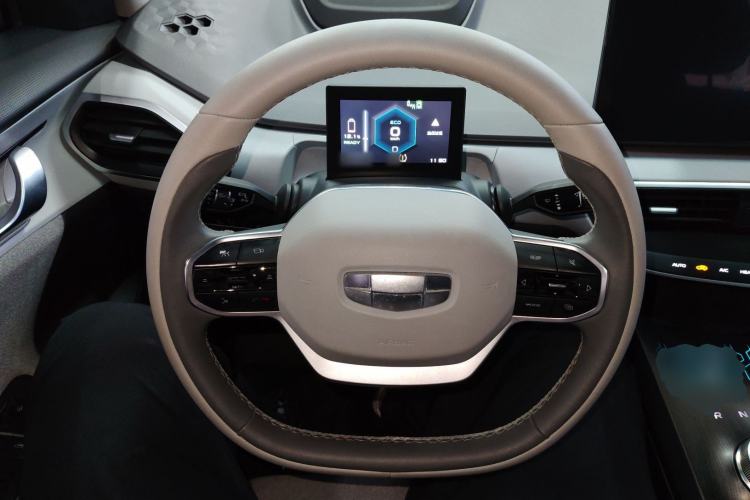 Used Geometry A 2019 High-Performance Standard Range Power Edition Steering Wheel