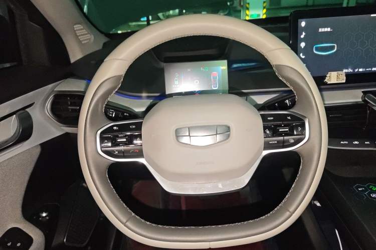Used Geometry A 2019 High-Performance Standard Range Power Edition Steering Wheel